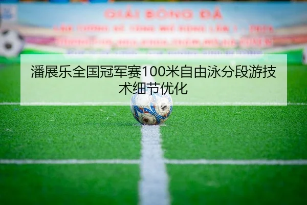 潘展乐全国冠军赛100米自由泳分段游技术细节优化